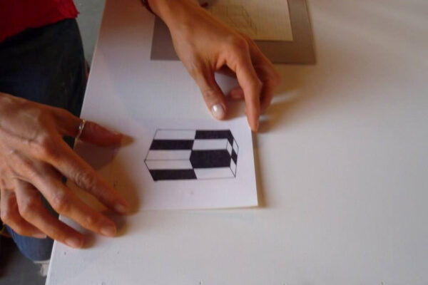 PROYECTO-#2-ACCION-CANJE-6