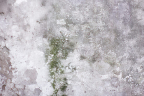 Untitled-VI--Tina-de-vidrio,-agua,-tinte,-plotter-2013
