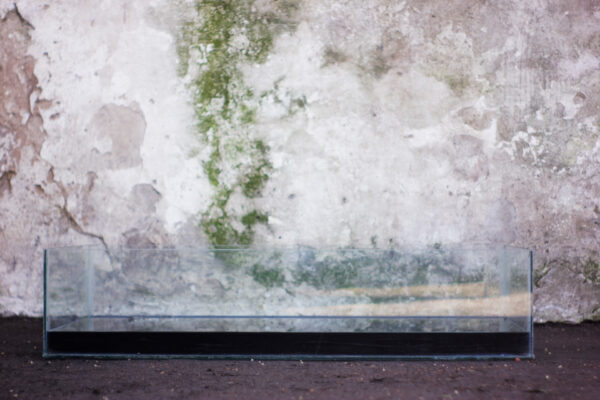 Untitled-VI--Tina-de-vidrio,-agua,-tinte,-plotter--2013b
