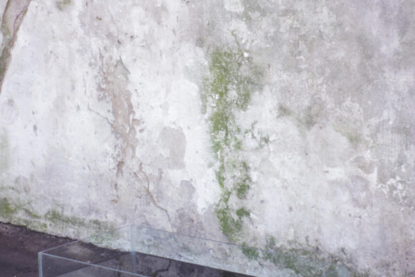 Untitled-VI--Tina-de-vidrio,agua,-tinte,-plotter--2013