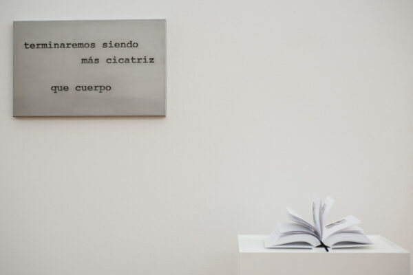 2014-TOUR-DE-FORCE-obras-(14)